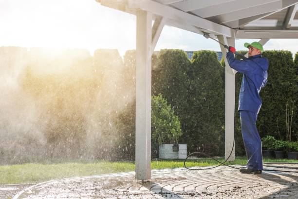 Best Pre-Holiday Cleaning  in Hazel Crest, IL